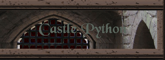 Castle Python